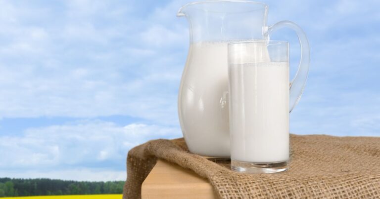 Grass Fed Milk คืออะไร รสชาติ เป็นยังไง มีประโยชน์อย่างไร?