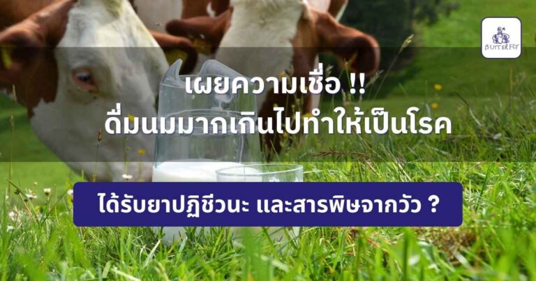 จริงหรือ? ดื่มนมมากเกินไปเสี่ยง กระดูกพรุน และ สิว