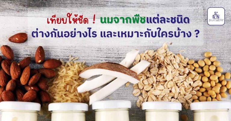 เทียบให้ชัด นมจากพืช แต่ละชนิดต่างกันอย่างไร เหมาะกับใครบ้าง
