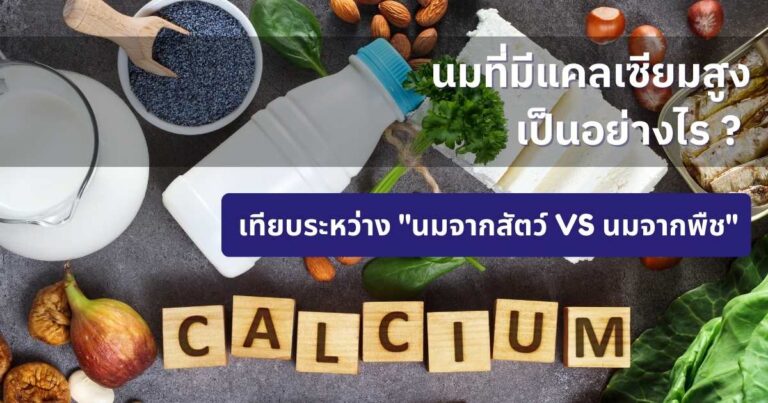 นมที่มีแคลเซียมสูง นมวัว VS นมพืช เสริมกระดูก ฟันแข็งแรง