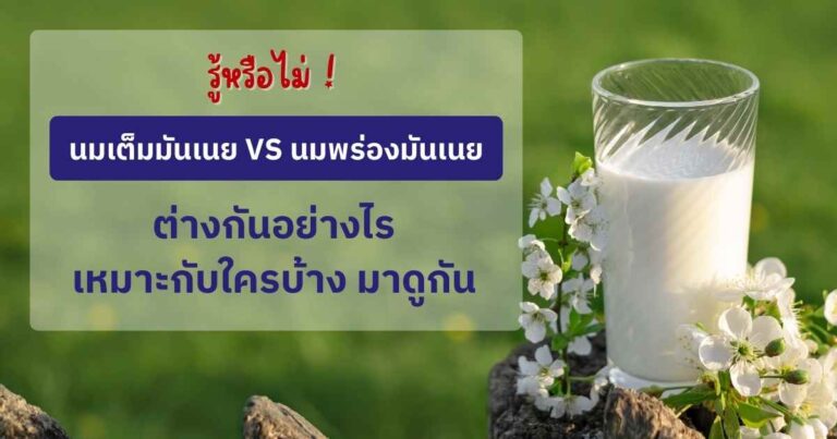 นมเต็มมันเนย ดื่มแล้วอ้วนจริงไหม ประโยชน์ที่คนส่วนใหญ่ไม่รู้