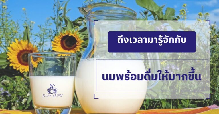 นมพร้อมดื่มเพื่อสุขภาพ สูตรไขมันต่ำ โปรตีนสูง ดีต่อร่างกาย