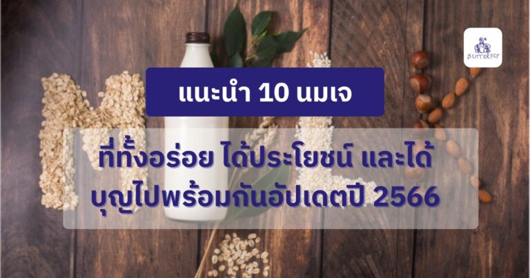 แนะนำ 10 นมเจที่ทั้งอร่อย ได้ประโยชน์ และได้บุญไปพร้อมกันอัปเดตปี 2566