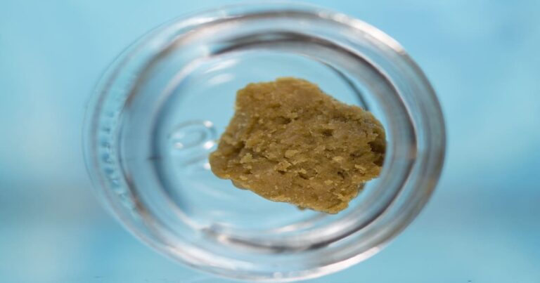 เจาะลึกประโยชน์ของจุลินทรีย์ ตัวช่วยลับดูแลสุขภาพคุณในทุกวัน