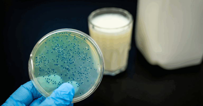 จุลินทรีย์ มีอะไรบ้าง ดีต่อร่างกายและสำคัญต่อลำไส้อย่างไร